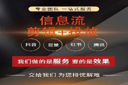 信息流广告投放策略：成功案例分享